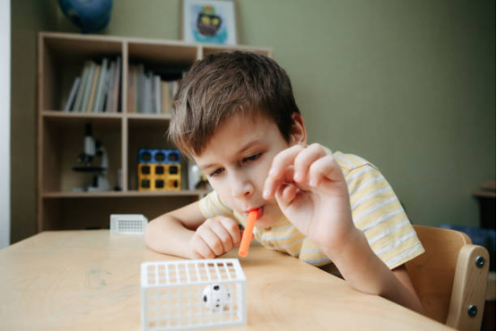 A young boy playing with Montessori toys designed for oral motor therapy and breath control exercise at a desk.