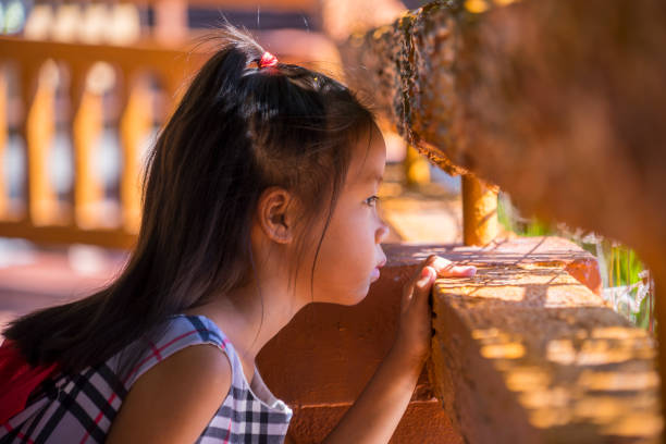 Young girl curiously observing her environment, engaging like with Montessori toys.